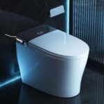 Image 1 of DeerValley smart toilet worth buying