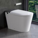 Image 1 of DeerValley smart toilet worth buying